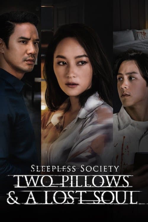 Poster for Sleepless Society: Two Pillows & A Lost Soul