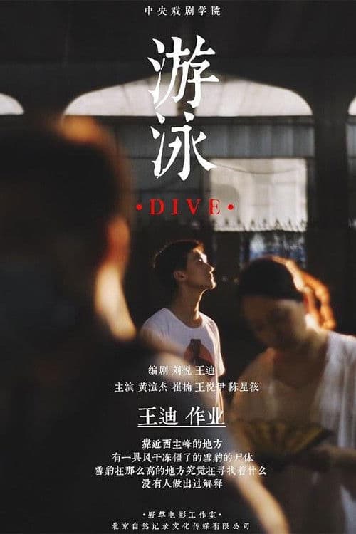 Poster for Dive