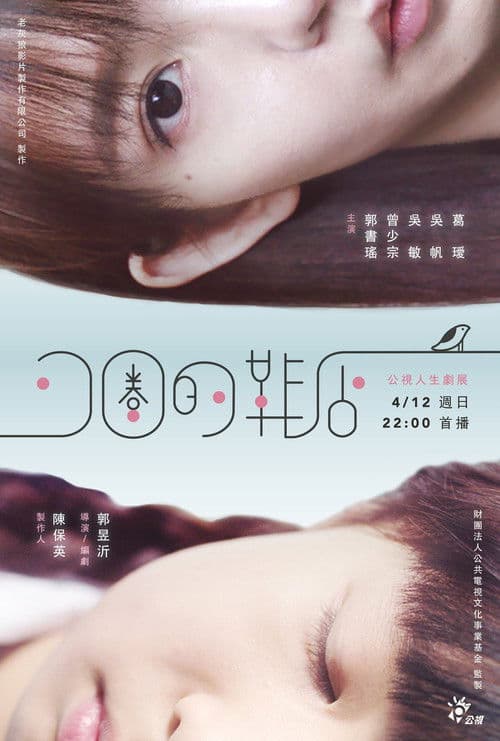 Poster for The Spiral Cage