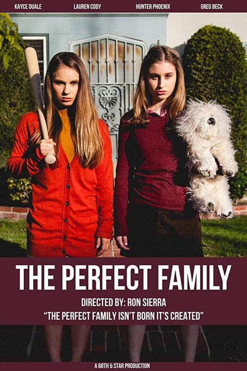 Poster for The Perfect Family
