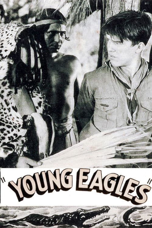 Poster for Young Eagles