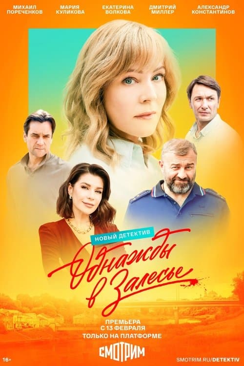 Poster for Odnazhdy v Zalese