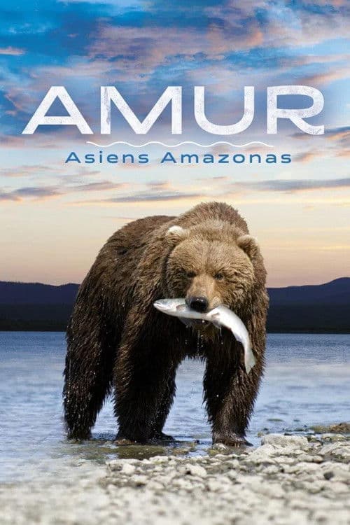 Similar show Amur: Asia's Amazon