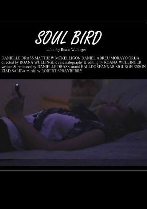 Poster for Soul Bird