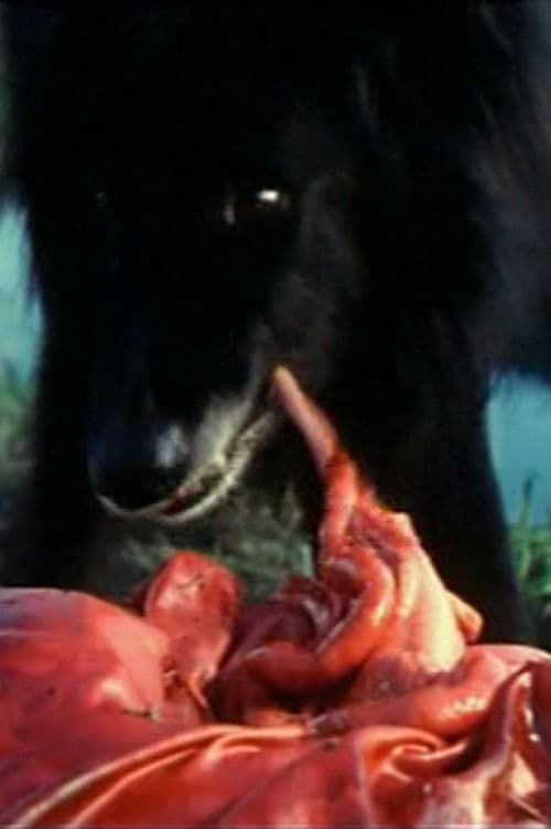 Poster for Hostel Party