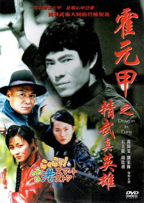 Poster for Dragon in Fury