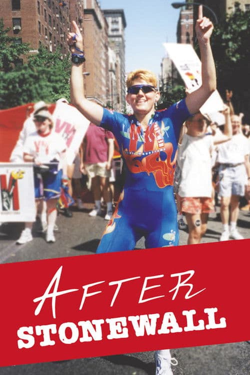 Poster for After Stonewall