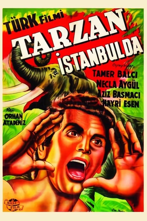 Poster for Tarzan in Istanbul