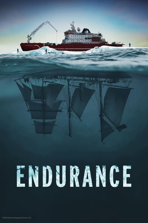 Poster for Endurance