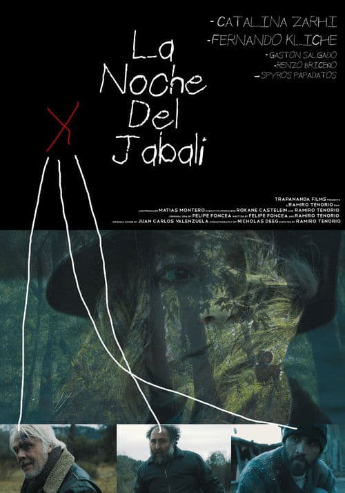 Poster for The Night Of The Wild Boar