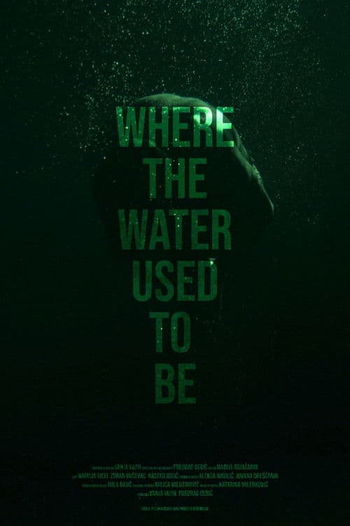 Poster for Where the Water Used to Be