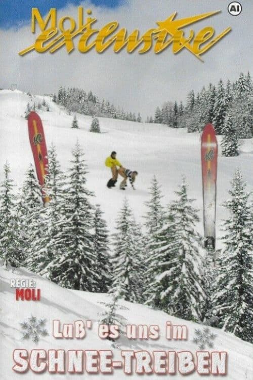 Poster for Lass es uns im Schnee treiben