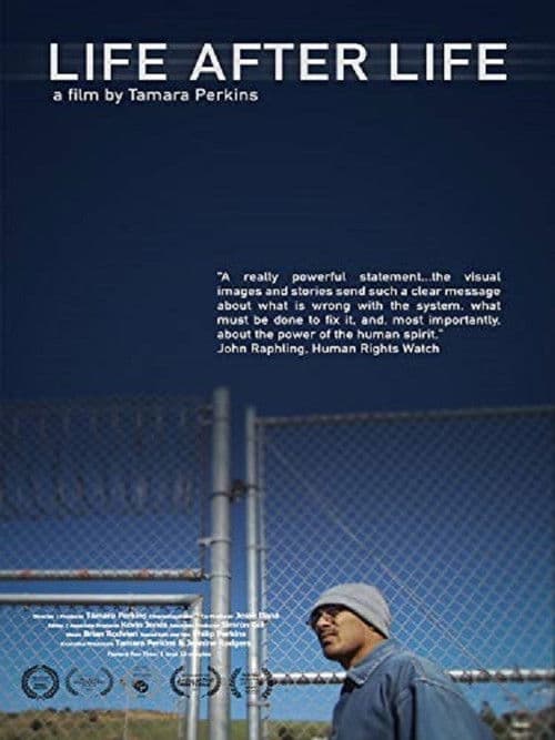 Poster for Life After Life
