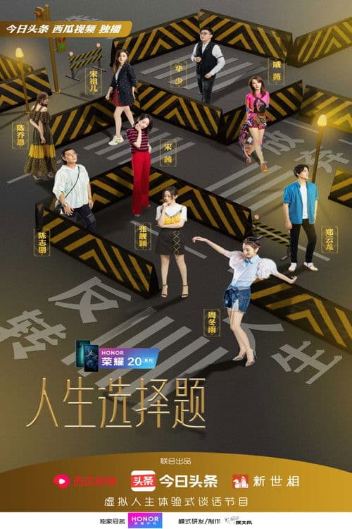 Poster for Life Choices