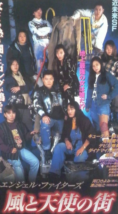 Poster for Angel Fighters