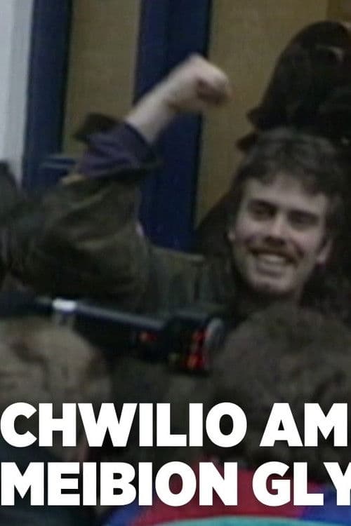 Poster for Bryn Fon: Search for the Sons of Glyndwr