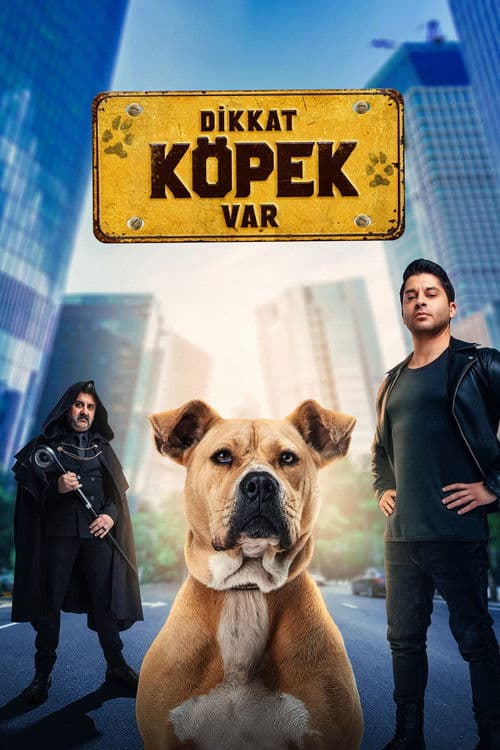 Poster for Dikkat Köpek Var