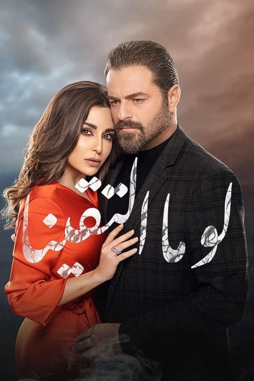 Poster for If We Haven't Met