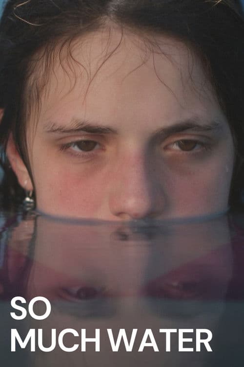 Poster for So Much Water