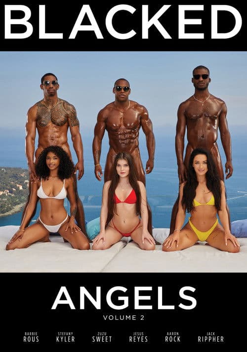 Poster for Angels 2