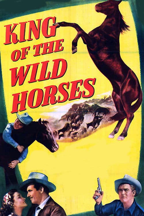 Poster for King of the Wild Horses