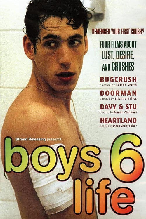 Poster for Boys Life 6