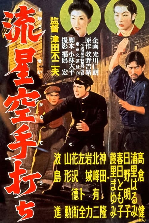 Poster for Meteor Karate Strike