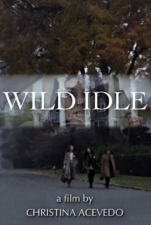 Poster for Wild Idle