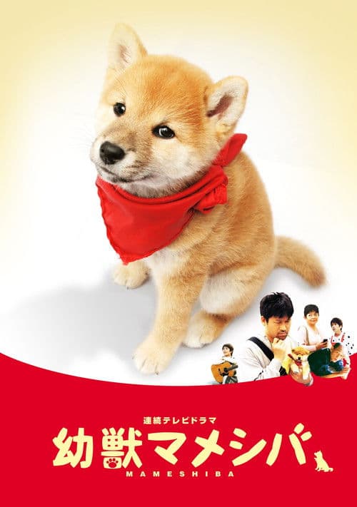 Poster for 幼獣マメシバ