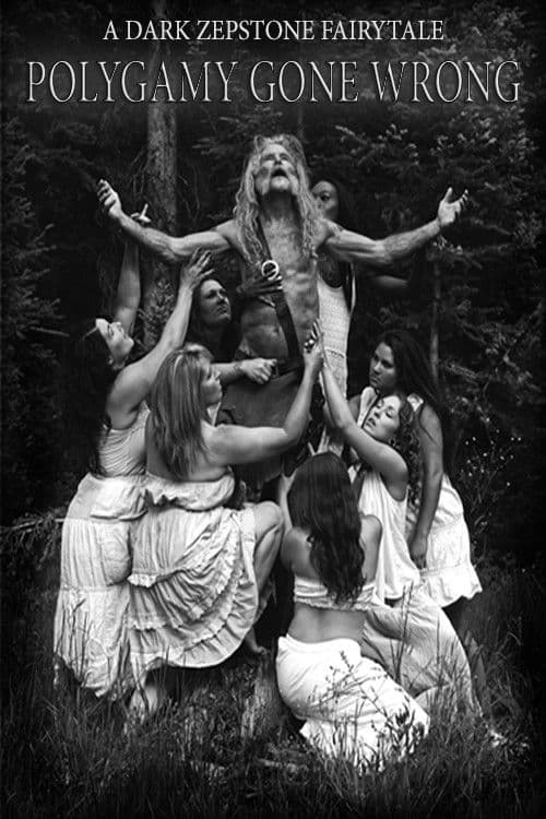 Poster for Polygamy Gone Wrong