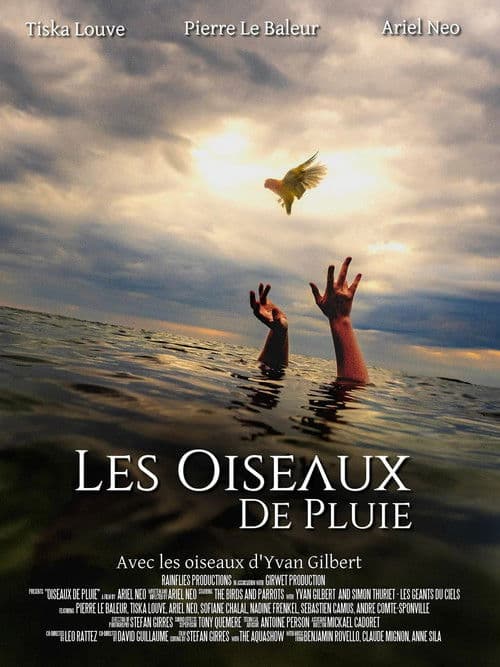 Poster for Les Oiseaux de pluie