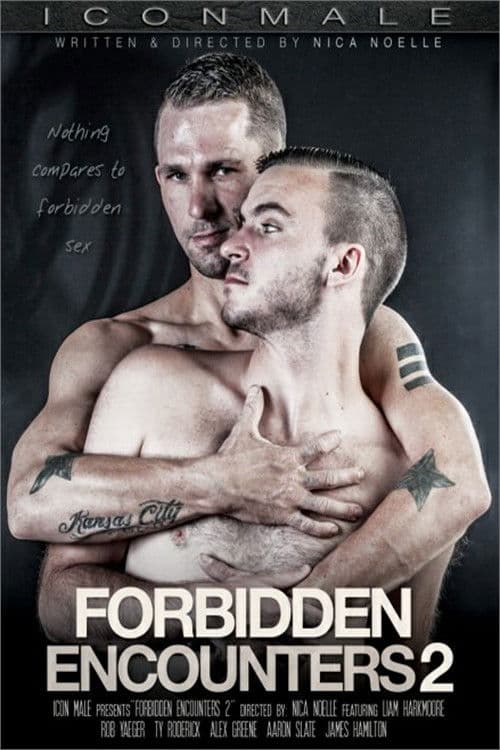 Poster for Forbidden Encounters 2