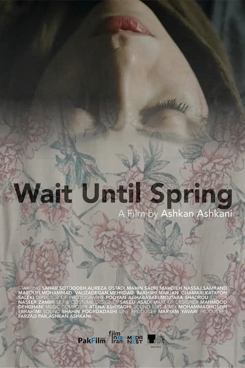 Poster for Wait Until Spring