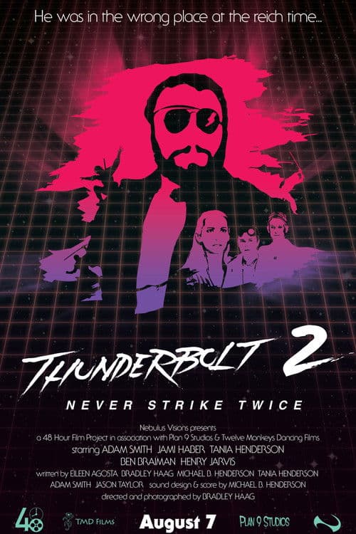 Poster for Thunderbolt 2: Never Strike Twice