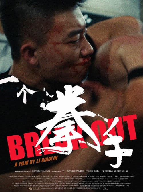 Poster for 一个拳手