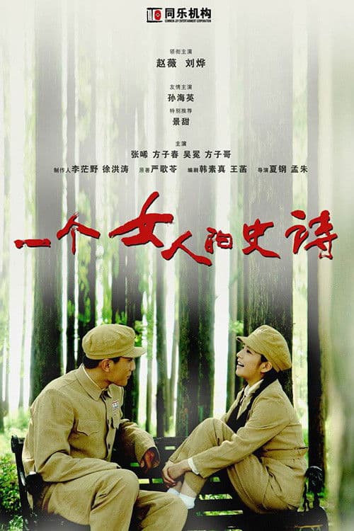 Poster for 一个女人的史诗