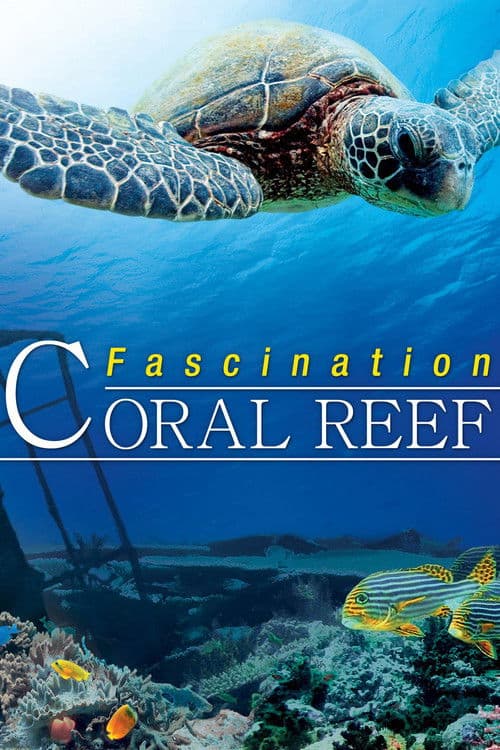 Similar title Fascination Coral Reef