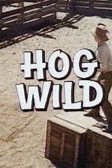 Poster for Hog Wild