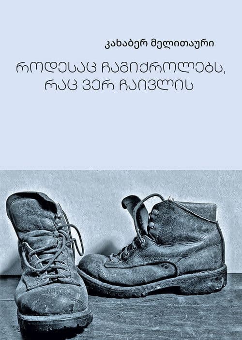 Poster for What won't pass, flies by you