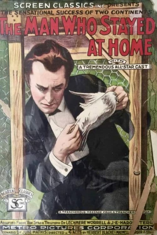 Poster for The Man Who Stayed at Home