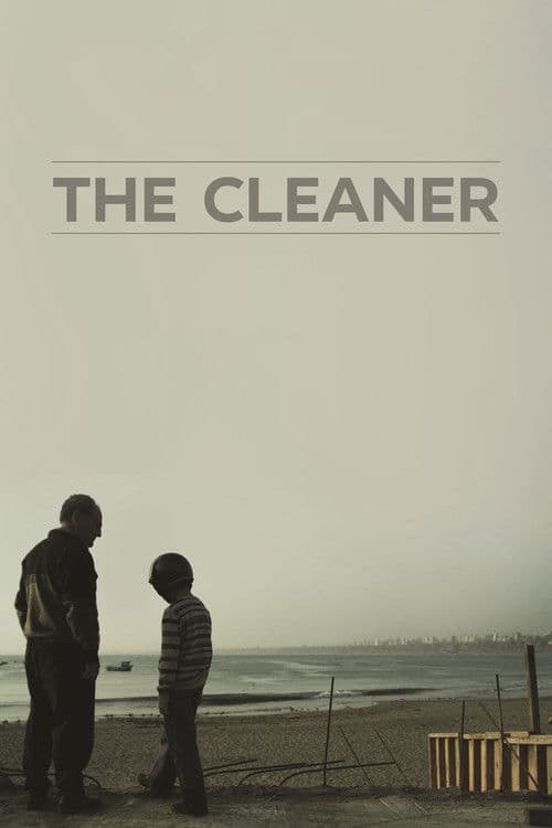 Poster for The Cleaner