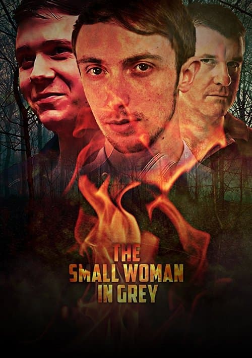 Poster for The Small Woman in Grey