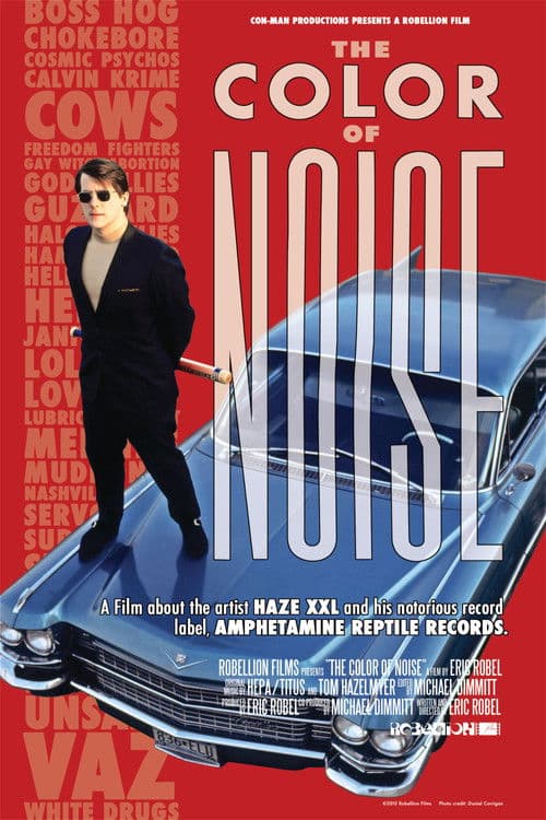 Poster for The Color of Noise