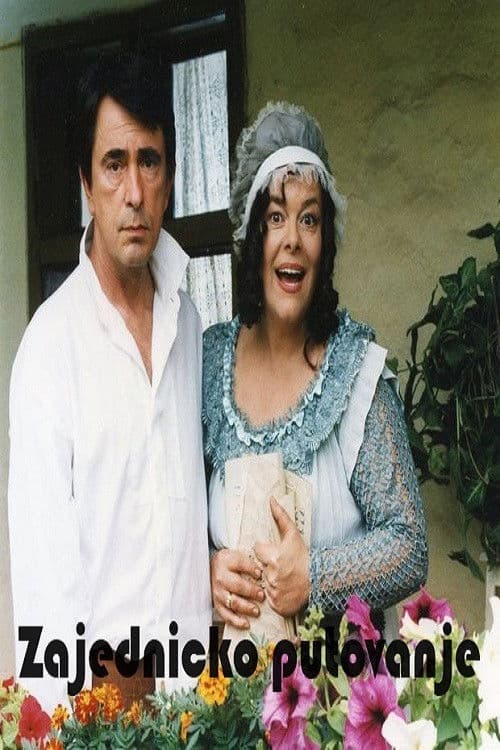 Poster for A Joint Journey