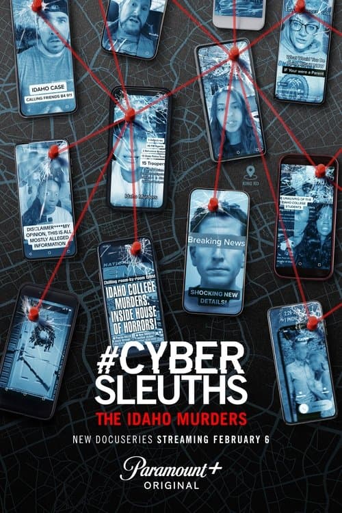 Poster for #CyberSleuths: The Idaho Murders
