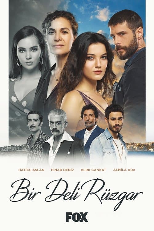 Poster for Bir Deli Rüzgar