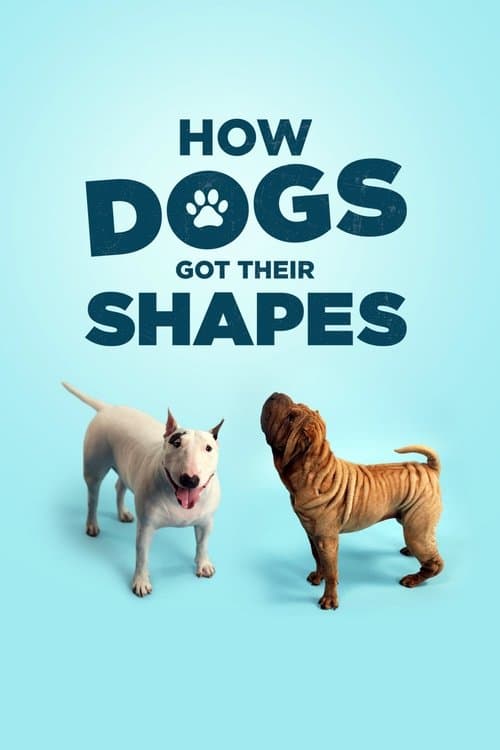 Poster for How Dogs Got Their Shapes
