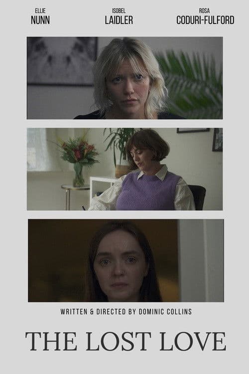 Poster for The Lost Love
