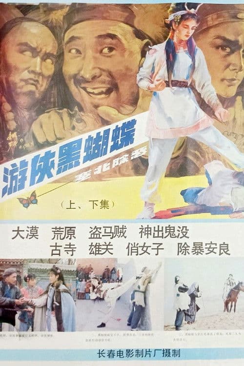 Poster for You xia hei hu die