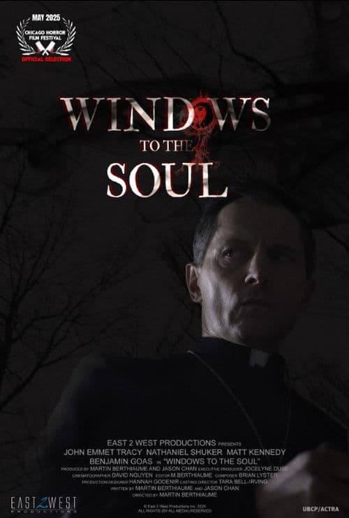 Poster for Windows to the Soul